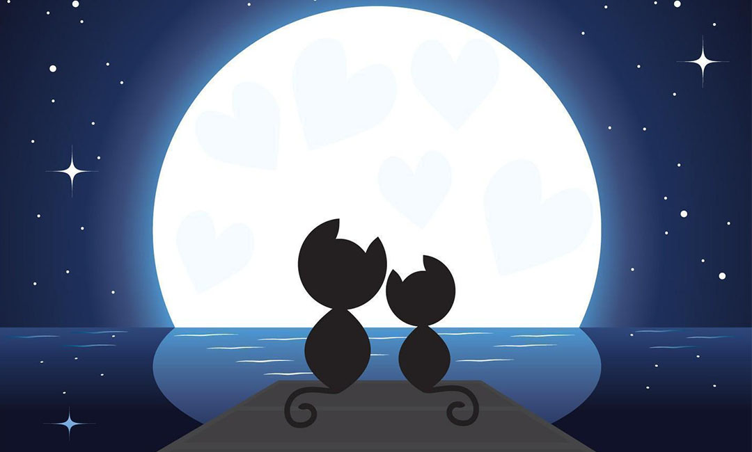 房山潮客汇微信活动策划案例